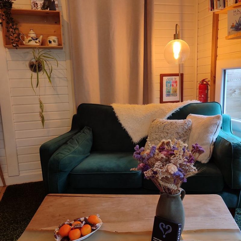 Salon cosy du chalet avec canapé vert et table basse